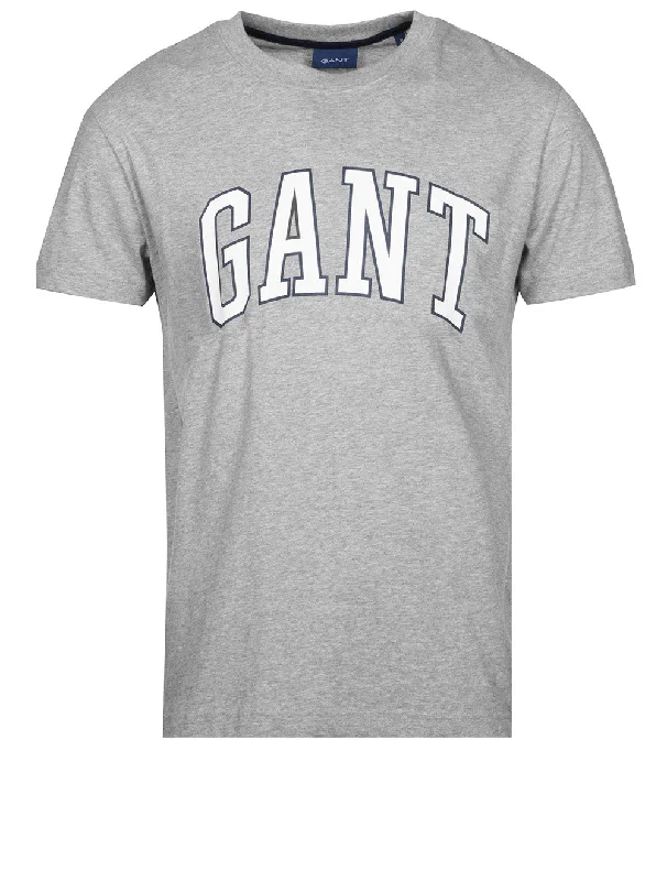 Men's v - neck muscle t - shirts for a body - building aestheticT-Shirt Grey Melange Men's v - neck muscle t - shirts for a body - building aestheticT-Shirt Grey Melange